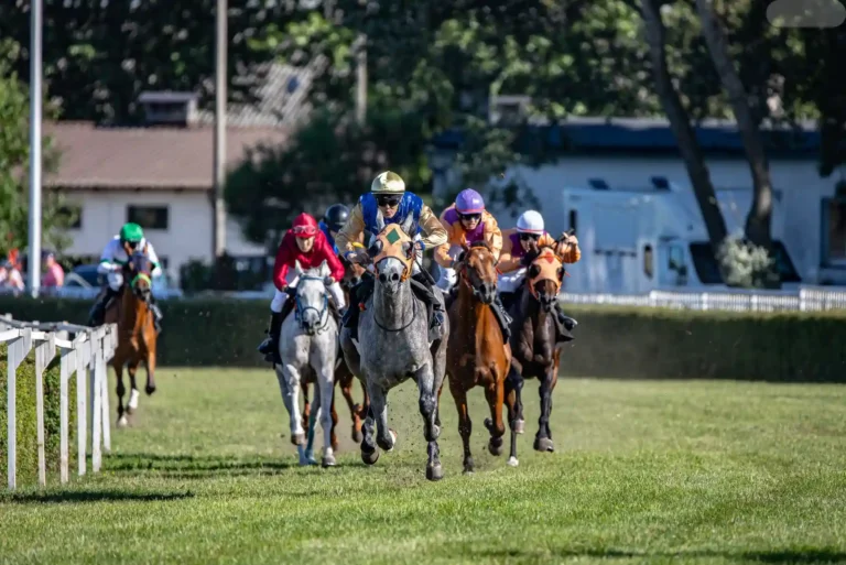 Mastering the Thrill of Horse Racing Betting Mastering the Thrill of Horse Racing Betting